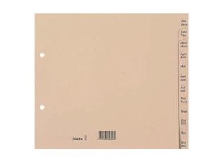 Biella Kartonregister A4 180gr Jan.-Dez. teildeckend d+f