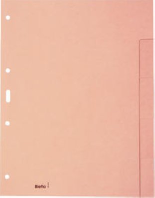 Biella Kartonregister A4 180gr 5-teilig blanko