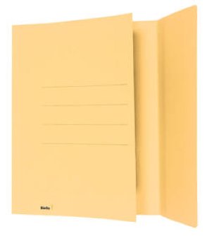 Biella Einlagemappen mit Seitenklappe A4 240gr