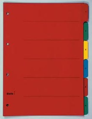 Biella Kartonregister A4 240gr 1-6 mit Indexdruck