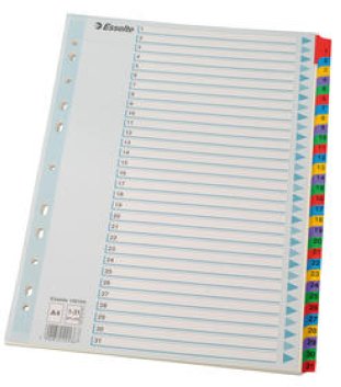 Esselte Mylar Kartonregister A4 160gr 1-31 nummeriert