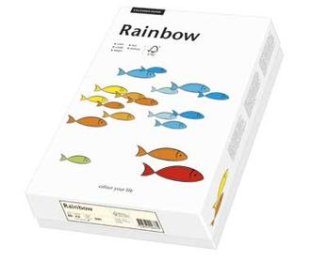 Rainbow A4 80gr hellchamois à 500