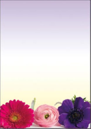 Sigel Design Papier A4 90gr Flower Harmony à 50 Blatt