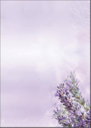 Sigel Design Papier A4 90gr Lavendula à 50 Blatt