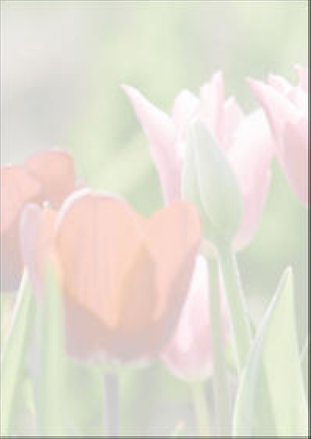 Sigel Design Papier A4 90gr Spring fever à 25 Blatt