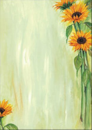Sigel Design Papier A4 90gr Sunflower à 25 Blatt