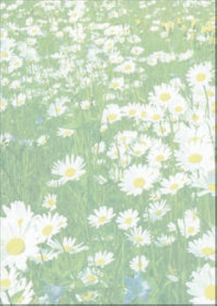 Sigel Design Papier A4 90gr Spring à 25 Blatt