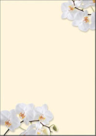 Sigel Design Papier A4 90gr White Orchid à 50 Blatt