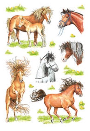 Herma Decor Sticker Pferde