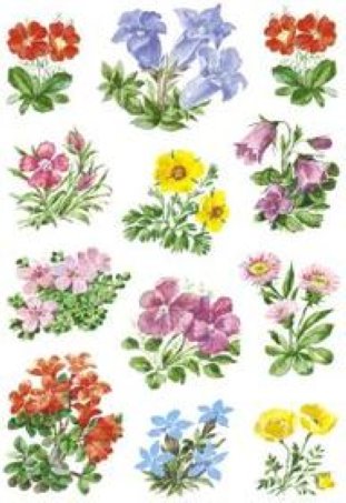 Herma Decor Sticker Bergblumen à 3