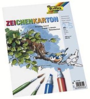Folia Zeichenkarton A4 120gr à 50