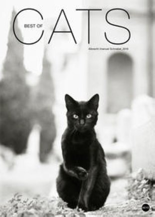 Heye Bildkalender Albrecht Schnabel Cats 50x70cm