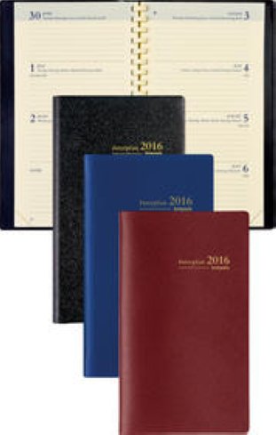Brepols Taschenagenda Interplan 2016 9x16cm 1W/2S