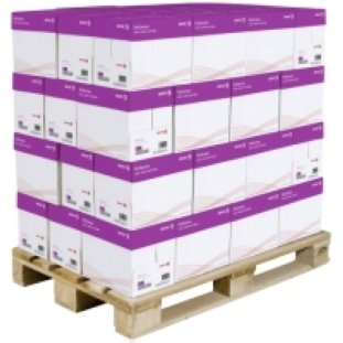 Xerox Kopierpapier Performer PEFC A4 80gr à 50'000 Blatt