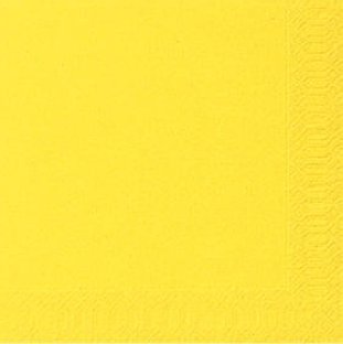 Duni Servietten 33x33cm